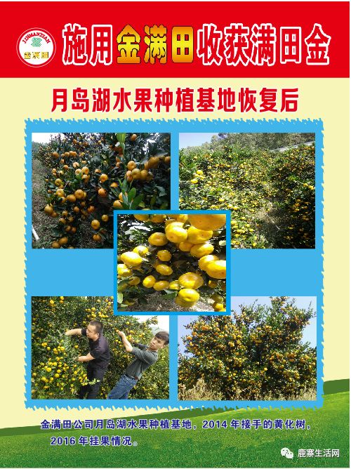 是什么讓這個(gè)基地碩果累累？鹿寨柑橘大咖現(xiàn)場(chǎng)授課，誠(chéng)邀您來(lái)參加